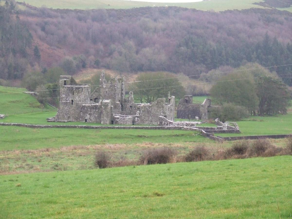 Mullaghmeen Forest Mullingar Luaran gambar